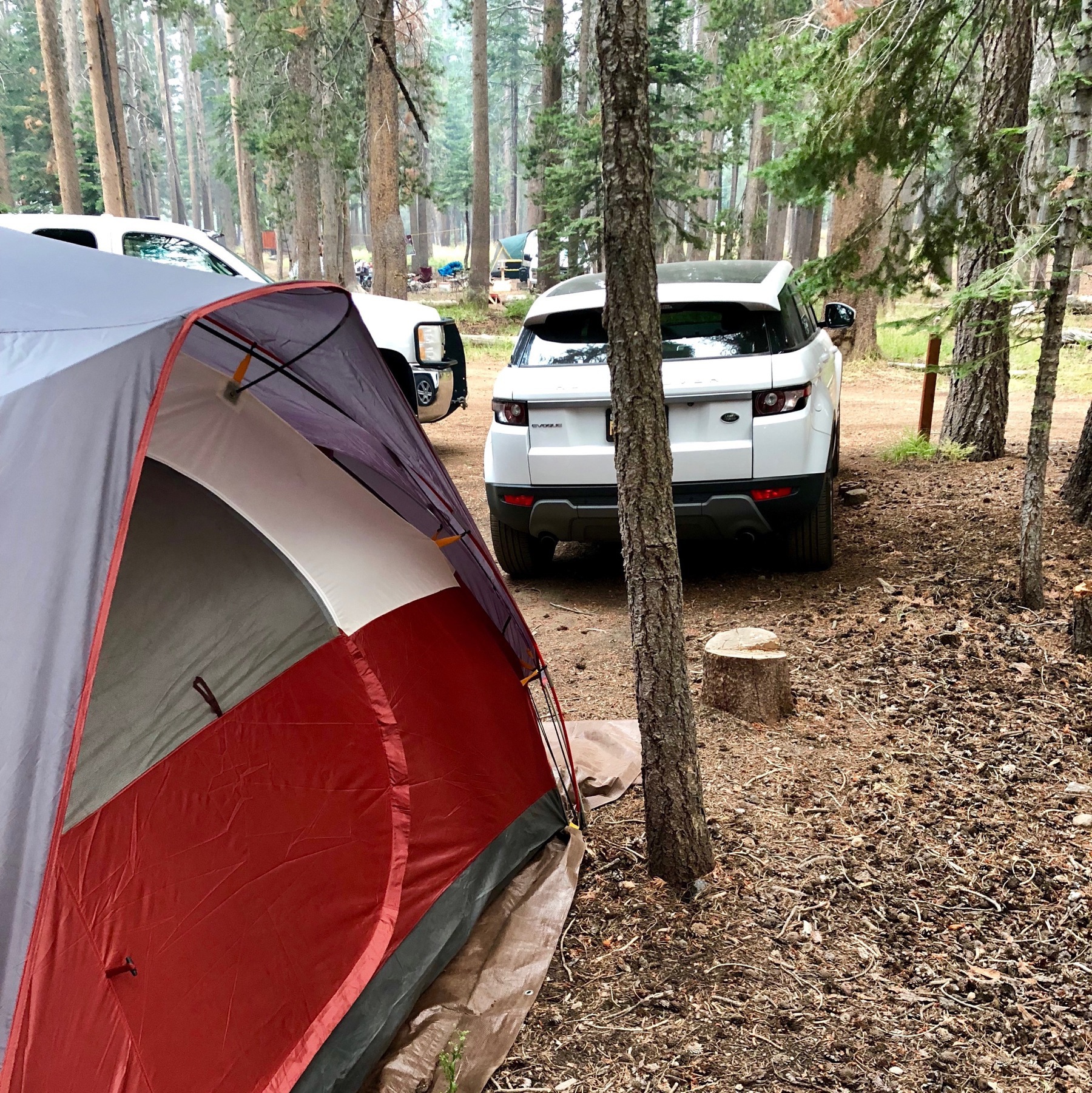 Mammoth Camping